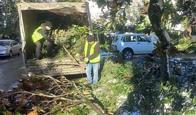 Мэр Сочи рассказал о ситуации на курорте после сильных снегопадов