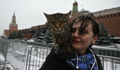 Русский ковчег традиционных ценностей: почему американцы переезжают жить в Россию