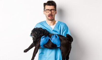 «Айболиты» совсем озверели