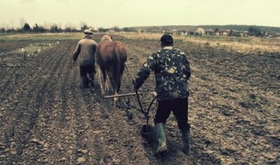 Крестьяне спасут демографию