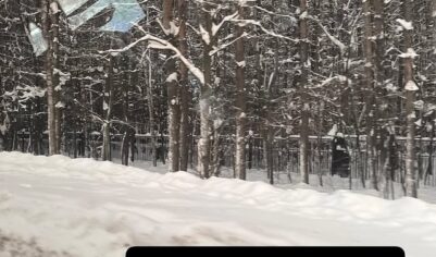 Агутин сделал заявление о Варум: в Россию даже вернулась их дочь