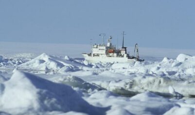 dikGAZETE: Арктика позволит России открыть новую эру в коммерческой навигации