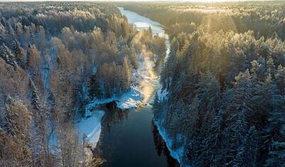 11 января: какой праздник отмечают в России и мире