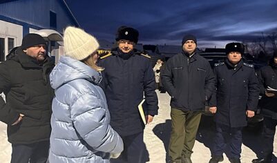 СК завел дело из-за отключения электричества в двух деревнях Челябинской области