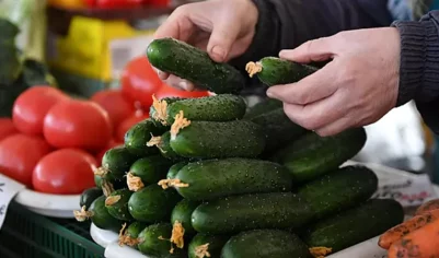 В январе в России огурцы подорожали на 28%