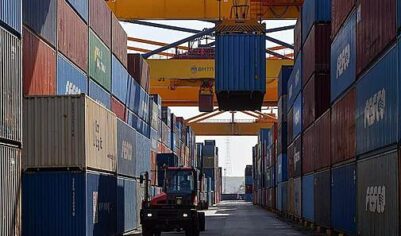 Путин поручил расширить импорт приоритетных товаров