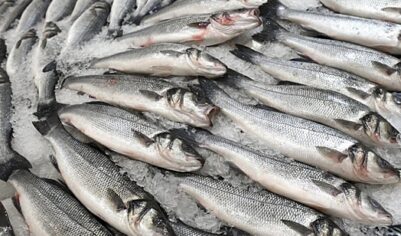 Назван топ самых подорожавших и подешевевших продуктов в 2025 году