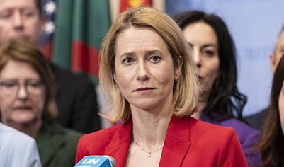 СК: Каллас заочно предъявлено обвинение в уничтожении советских памятников