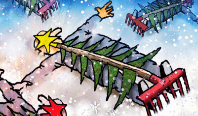 Стало известно, что грозит горожанам за неправильный выброс новогодней елки