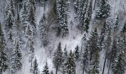 Что можно, а что нельзя делать 13 января в канун Старого Нового года