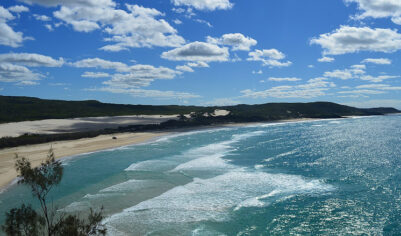 Юная девушка найдена мертвой на популярном острове в окружении диких собак