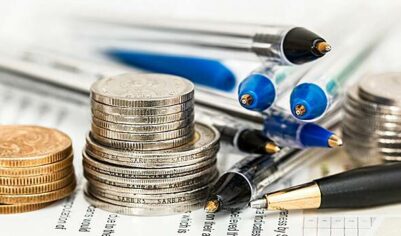 В России может появиться налоговый омбудсмен