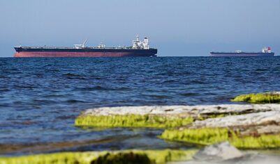 &laquo;Логично и&nbsp;очевидно&raquo;: эксперт оценил итоги торговой войны США против РФ&nbsp;и&nbsp;Индии