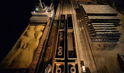 В России отказались от закупки судов для экспорта зерна из-за роста цен