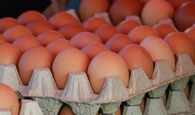 Россия возобновила экспорт куриных яиц в Евросоюз впервые с лета 2023 года