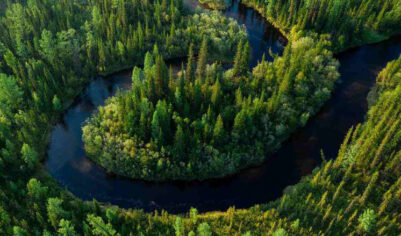 «Роснефть» вошла в число лидеров ESG-рейтингов российских и международных агентств