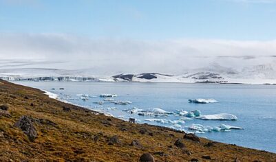 «Наше преимущество»: России дали совет, как выгодно использовать Арктику