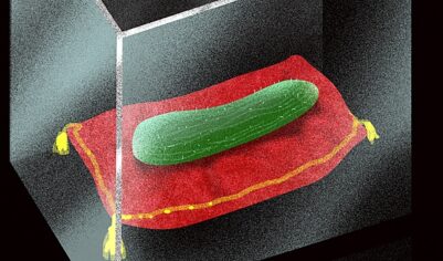 Антимонопольная служба проанализирует цены на огурцы