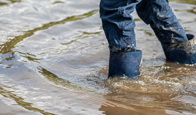 Жителей средней полосы России предупредили о грядущем половодье