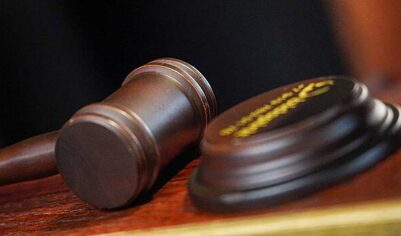 Иностранца осудили в Подмосковье за контрабанду драгоценностей на миллион рублей