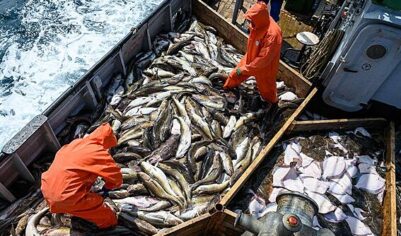 Евросоюз не захотел отказываться от некоторых российских продуктов