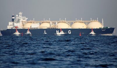 Россия рекордно нарастила поставки одного вида топлива в&nbsp;Европу