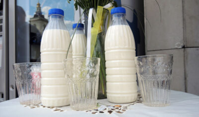 Молочный парадокс России: излишки в десятки тысяч тонн не ведут к снижению цены