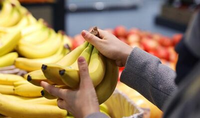 Росстандарт ввел ГОСТ на бананы