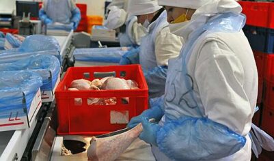 Россия захватила рынок импортной индейки одной из стран БРИКС