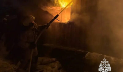 Выяснились подробности смертельного пожара в Сергиевом Посаде