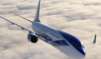 Мастерство пилота спасло самолет Элтона Джона от столкновения с «огромным ястребом»