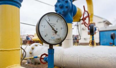 В Германии назвали отказ от российского газа неподготовленным