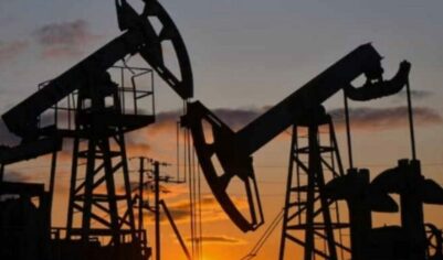 В Госдуме отреагировали на отказ Индии от российской нефти