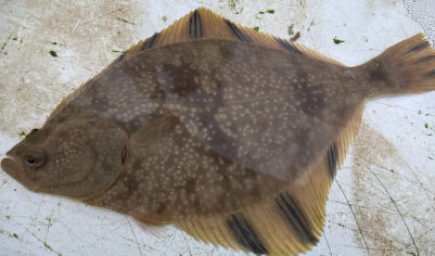 Пророчества Ванги о Крыме сбылись: с «острова, похожего на рыбу» началось возрождение России