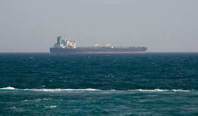 Турция лишилась поставок газа из Ирана