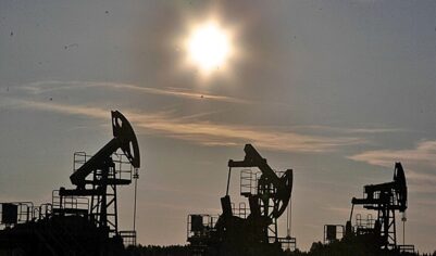 Поставляемая в Индию российская нефть оказалась дороже марки Brent