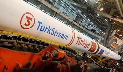 Аналитик оценила последствия подрыва «Турецкого потока»