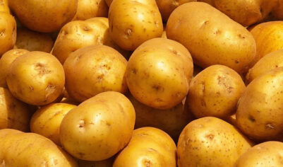 Россия стала третьей по дешевизне картошки в G-20: считать ли это достижением