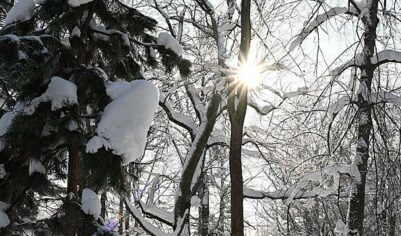 Стало известно, как единственный выживший в Пермском крае турист смог спастись