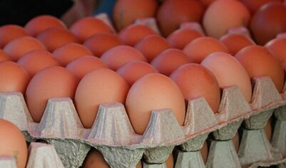 Названы регионы с самыми дешевыми куриными яйцами