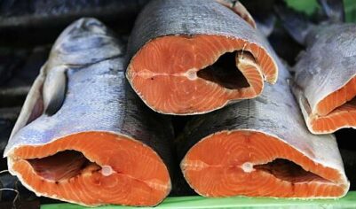 В&nbsp;России признали неизбежное снижение вылова лососевых