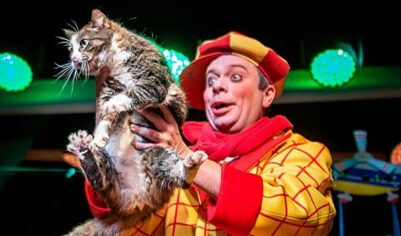 Спасенная из&nbsp;зоны СВО кошка Глуша впервые вышла на&nbsp;сцену Театра Куклачева