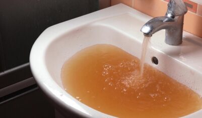 Кто ловит рыбку в «Чистой воде»?