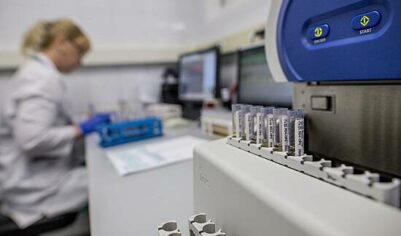 Роскачество выявило фенолы в школьных брюках для мальчиков
