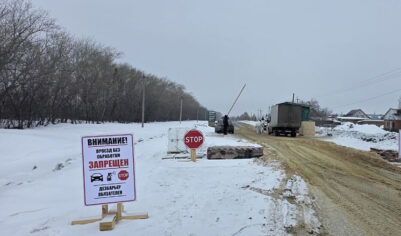 Подмосковные фермеры усомнились в существовании инфекции, из-за которой режут скот в Сибири