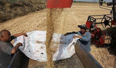 Миру спрогнозировали продовольственный шок из-за войны в Иране