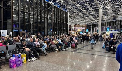 В аэропорту Сочи  задержаны и отменены 79 рейсов из-за ограничений на полеты