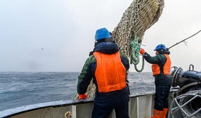 Названа причина сокращения рыболовства в ЕС