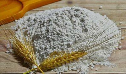 Украина договорилась о продаже муки в Китай