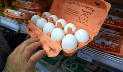 ФАС изучит обоснованность цен на куриные яйца и молоко в рознице